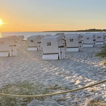 Strandflieder 102 Homestay